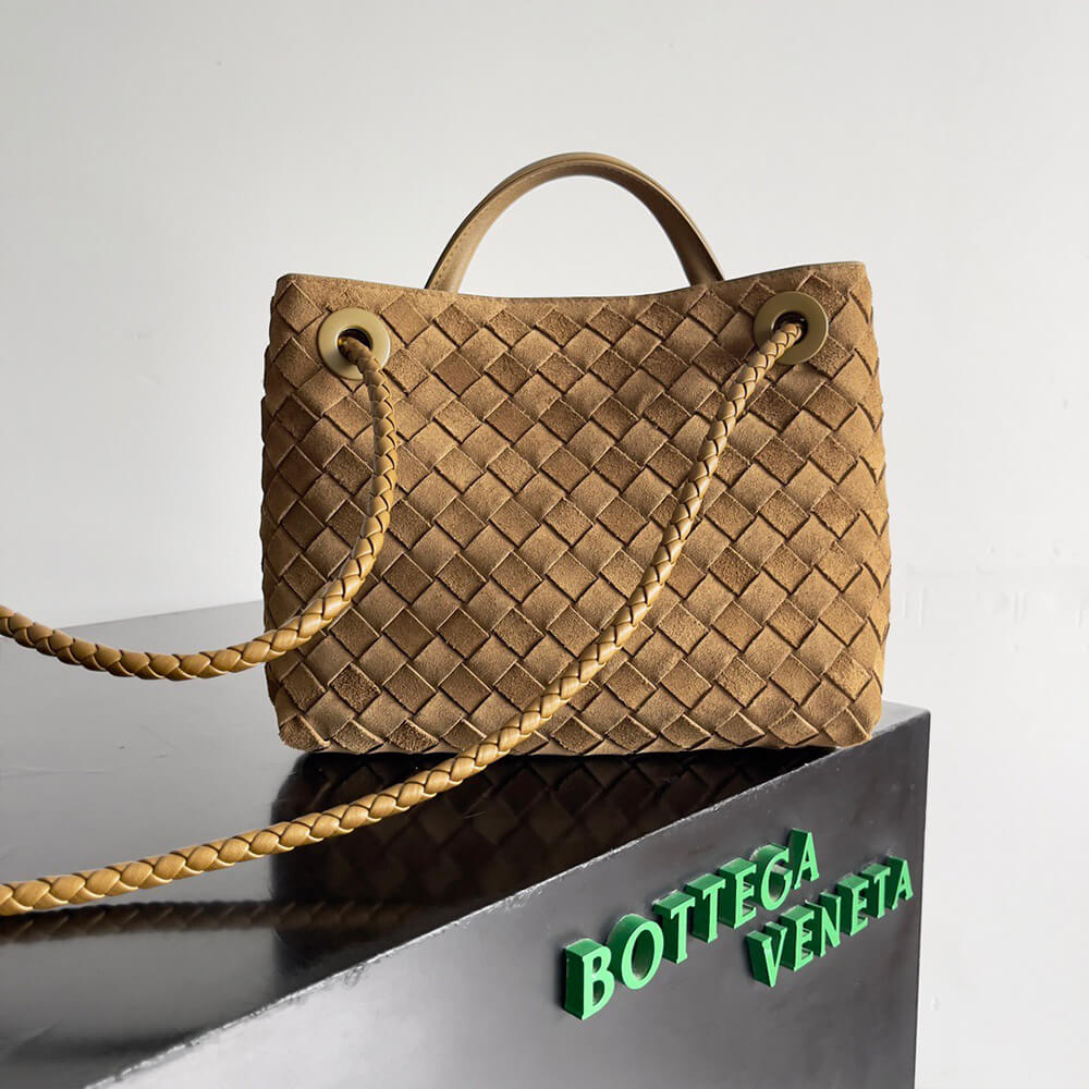 Bottega Veneta Small Andiamo