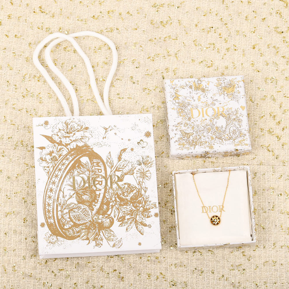 DIOR necklace