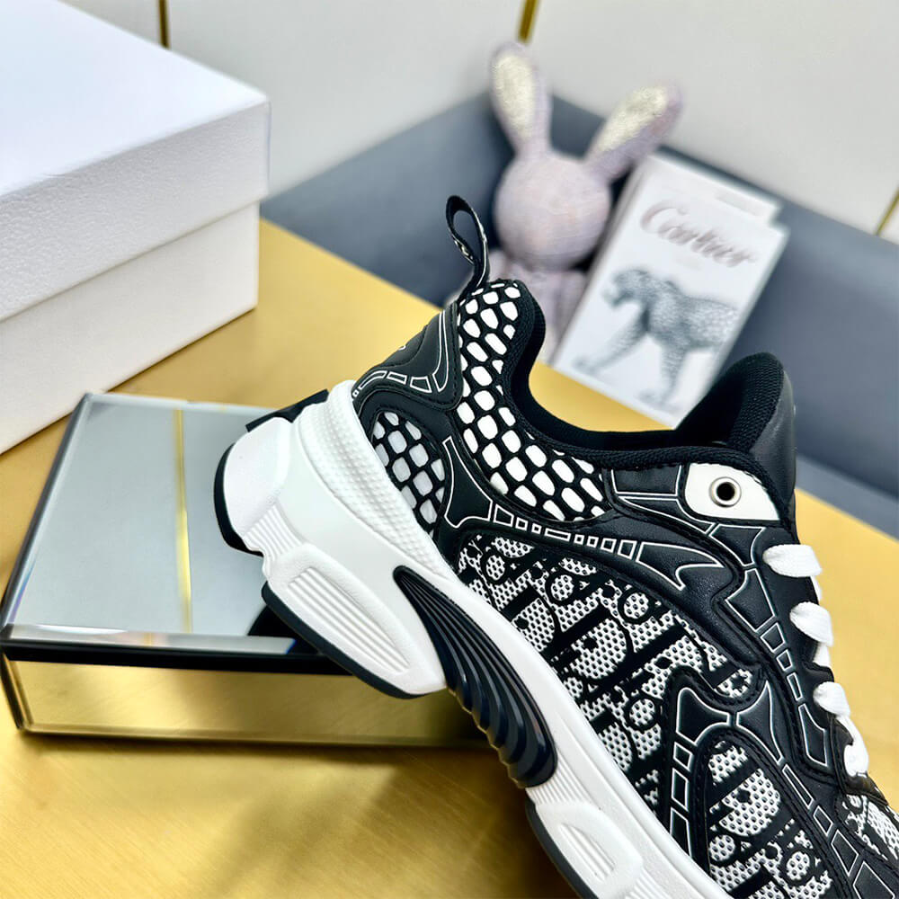 Christian Dior Vibe Sneaker