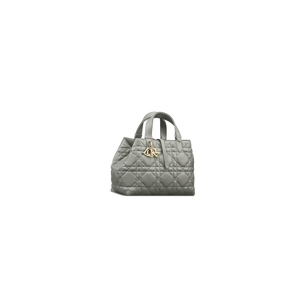 Small DIOR TOUJOURS BAG