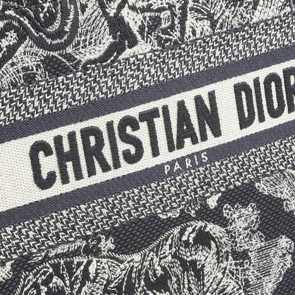 Small Dior Book Tote