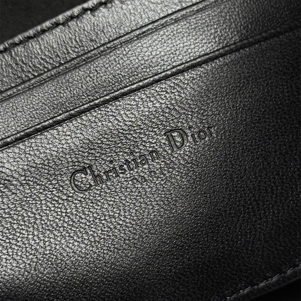 Diorstar Hobo Bag with Chain