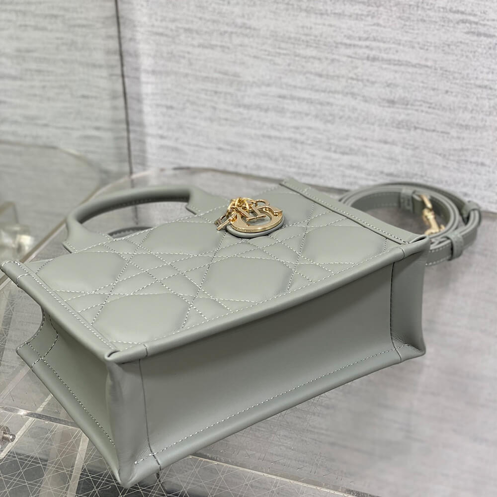 Mini Dior Book Tote